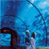 The Shark Reef at the Mandalay Bay Hotel Las Vegas